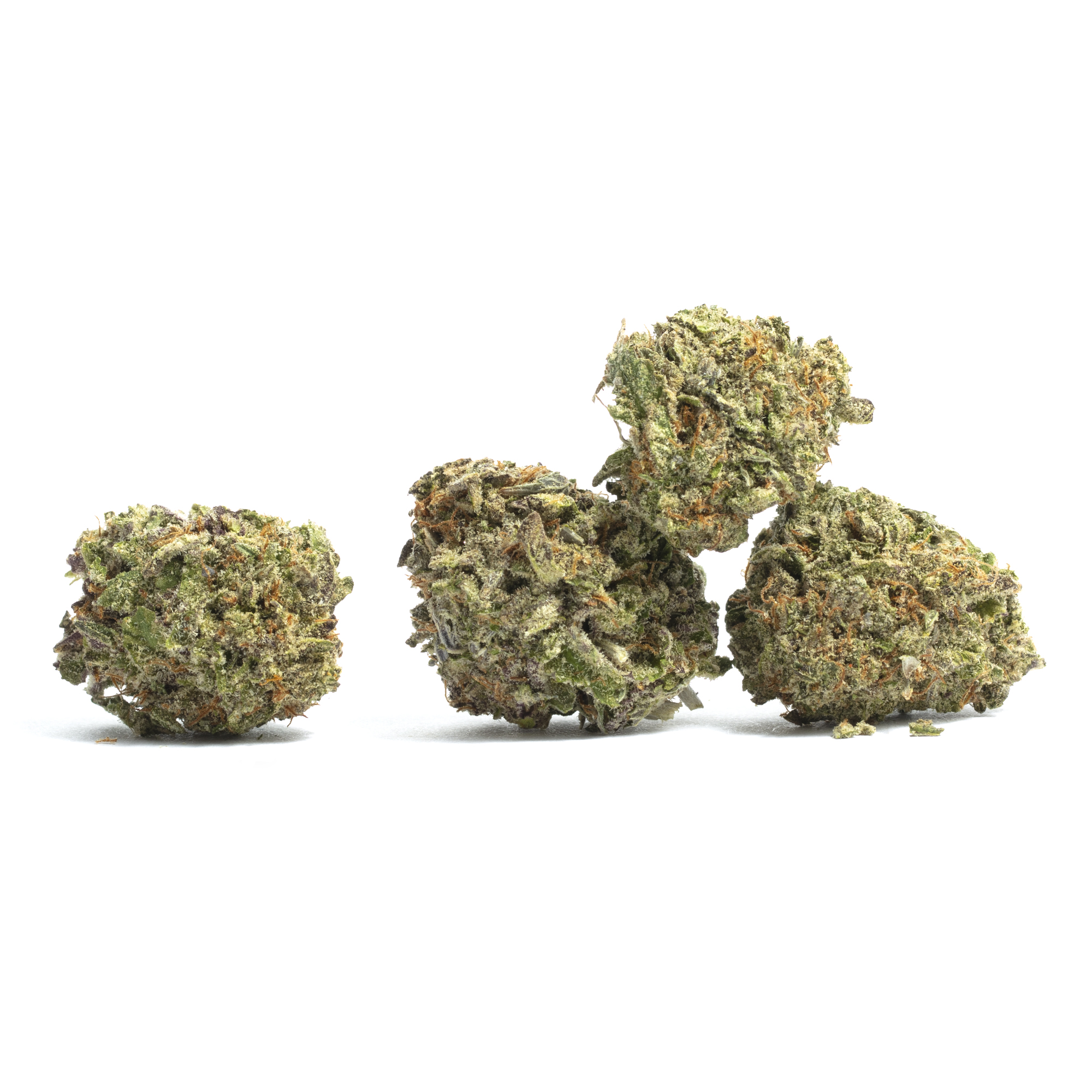 Foto de la variedad Gods Gift